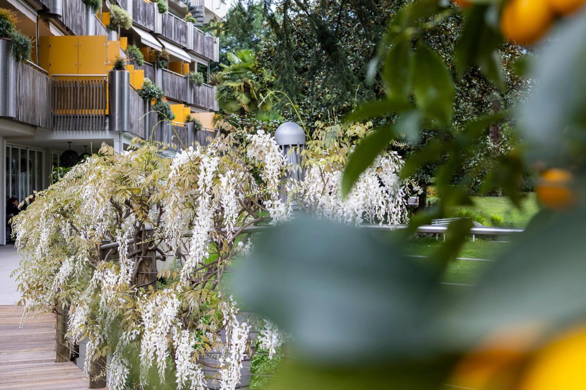 Mignon Park & Merano